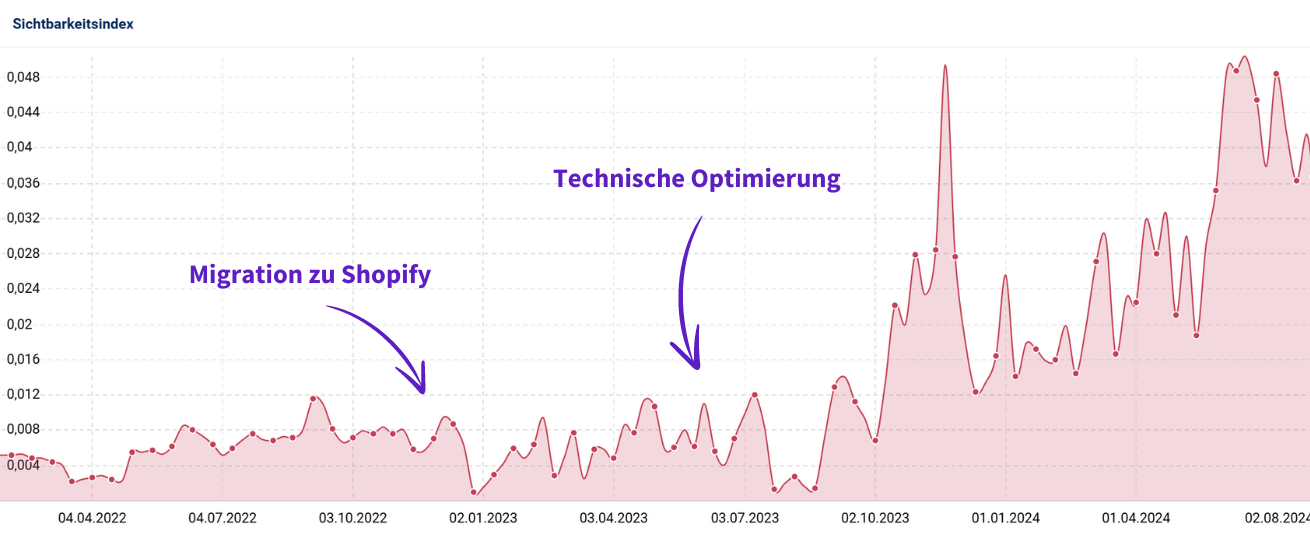 Shopify SEO Case